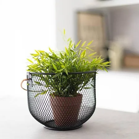 Aldatseta - Centrico