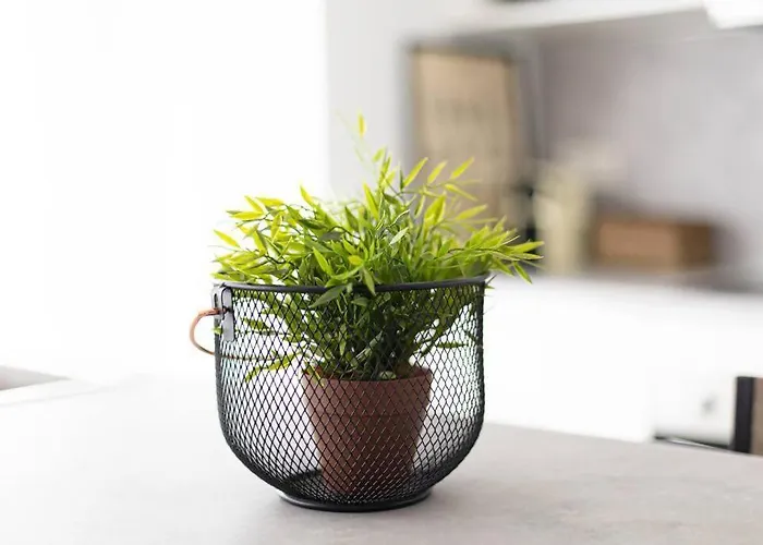 Aldatseta - Centrico