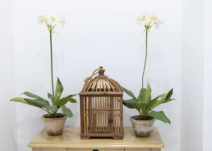 Aldatseta - Centrico Bermeo