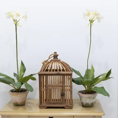 Aldatseta - Centrico Bermeo